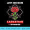 Carnation - High Quality PNG Files - Premium Quality PNG Artwork