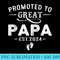 Promoted To Great Papa 2024 Fathers Day First Time Dad - PNG Download Template - Perfect for Creative Projects