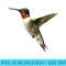 Womens Fly On Little Hummingbird - PNG Download High Quality - Enhance Your Apparel with Stunning Detail