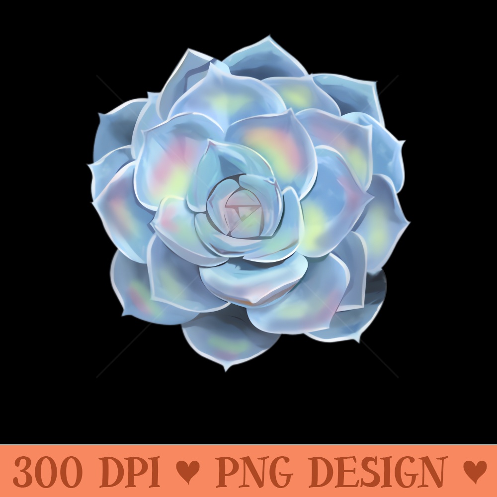 Cactus Echeveria Hen and Chicks Succulent Succa Plant - Clipart PNG - Instant Access To Downloadable Files