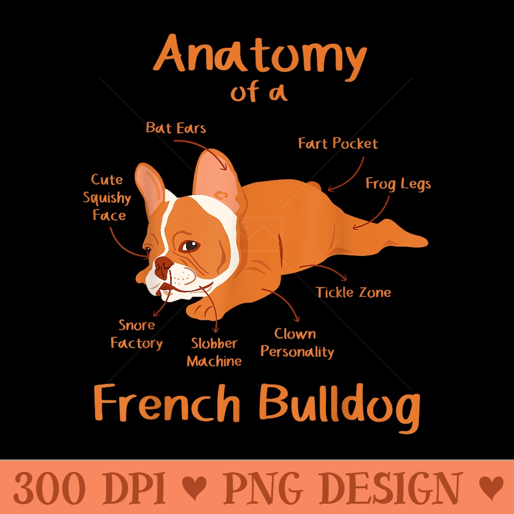 Anatomy Of French Bulldog Clothes Frenchie Outfit Stuff - High Resolution PNG download - Perfect for Sublimation Mastery