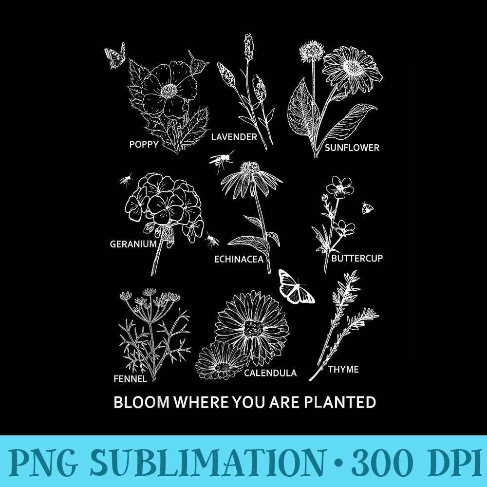 Bloom Where You Are Planted T shirt Botanican Flower - Transparent Shirt Clip Art - Lifetime Access To Purchased Files