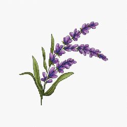 Lavender Cross Stitch Pattern - Violet Flowers Xstitch Design -Sping Embroidery Design - Needlepoint Chart