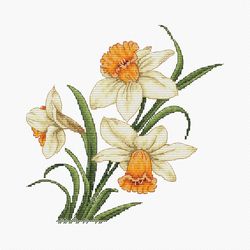 Daffodils Cross Stitch Pattern - White Flowers Counted Xstitch Tutorial - Spring Embroidery Design - Needlepoint Chart