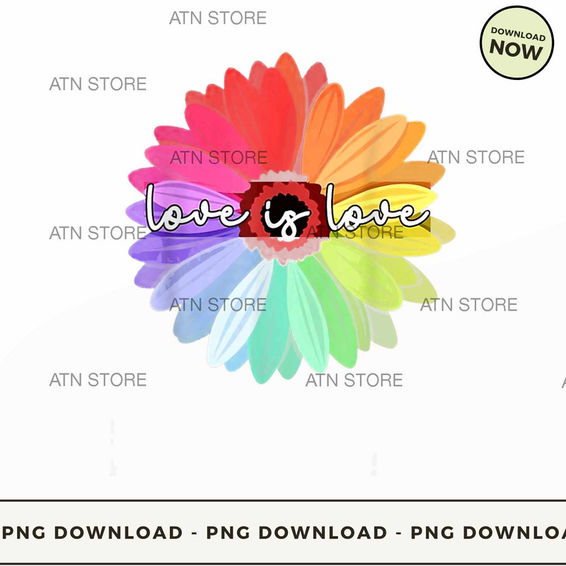 LOVE IS LOVE SHIRT LOVE DAISY LGBT RAINB.jpg