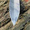 image (1) - Copy.jpg