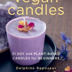 Vegan Candles 21 Soy Candles - Delphine Reposeur