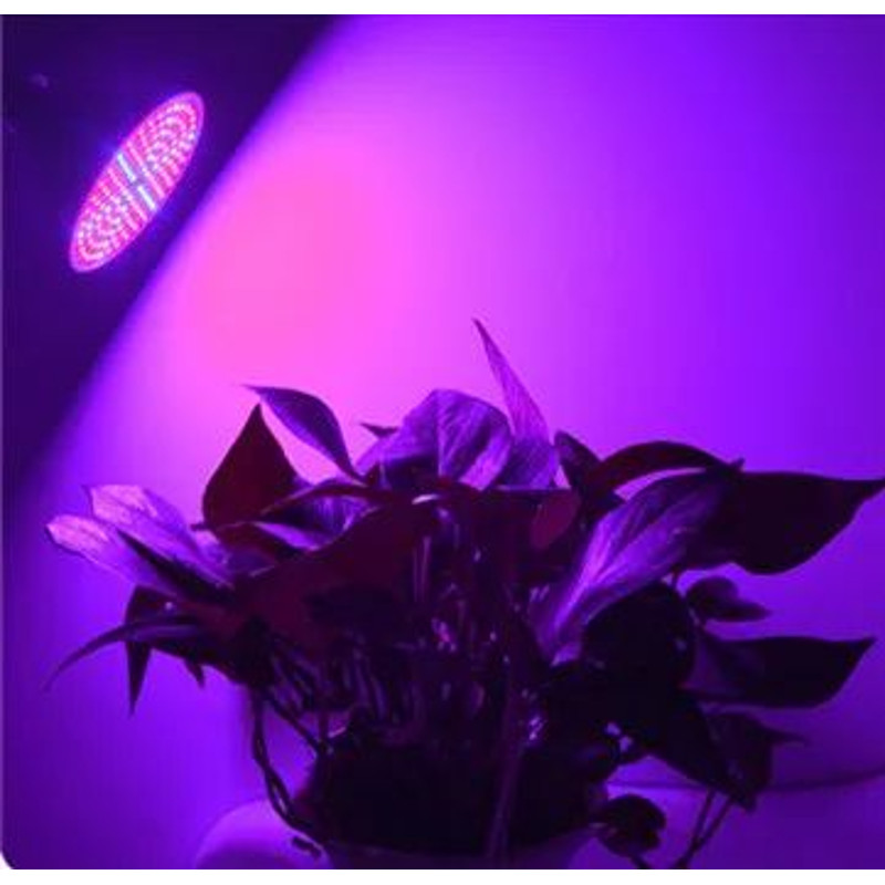 Phyto Lamp Full Spectrum LED Grow Light Fitolamp For Indoor Seedlings Flowers Vegetables Hydroponi 3