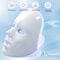 LED Facial Mask for Skin Rejuvenation Photon Therapy Face Mask for AntiAcne Wrinkle Removal