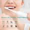 Sonic Electric Toothbrush For Adults Waterproof USB Rechargeable With DuPont Brush Head High Frequ 1