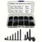 M2 Phillips SelfTapping Screw Assortment Kit Locking  Wood Screws Set For DIY  Professional Use 1