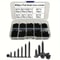 M2 Phillips SelfTapping Screw Assortment Kit Locking Wood Screws Set For DIY Professional Use 1
