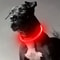 Pet Dog LED Light Collar Luminous AntiLost Dog Collar USB Rechargeable Dog Necklace Collar 5
