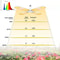 Full Spectrum Bulb Grow Light Foldable Phyto Lamp For Indoor Plants Bloom Flowering LED Grow Lamp 2