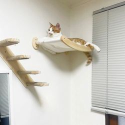 cat hammock stairway with sisal rope wall-mounted climbing shelf, scratching toy, and perch for kitten cats space saving