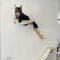 Cat Hammock Stairway With Sisal Rope WallMounted Climbing Shelf Scratching Toy And Perch For Kitten 1
