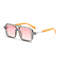 Retro Square Frame Sunglasses Unisex European American Double Beam Design Trendy Decorative Wear 3