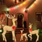 Cute Lighted Reindeer Xmas Decoration, Christmas Yard Light Up Display, Lawn Garden Patio Holiday Decor Set