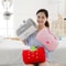 Cute Hand Warmer, Pillow Non-electric Sleeping Pillows, Gift for Children