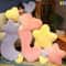 Soft Star Shape Stuffed Pillow New Moon Pattern Heart Plush Pink Color PP Cotton Valentine Day Gift 3