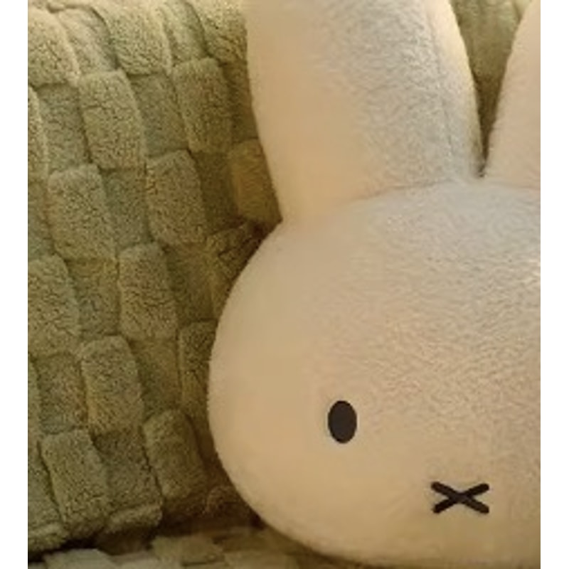 Chic Velvet Stuffed Soft Pillow For Sofa Joyful Red Check Heart Rabbit Cushion Throw Love Present C 6