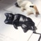 Mini Sleeping Cat Statues, Mini Figures for Dollhouse Room, Home Decor Desk Accessories