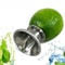Manual Squeezer Pourer for Lemon, Orange, Limes Citrus Juicer Kitchen Tool