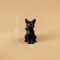 Miniature Resin Black Cat Halloween Figurines, Animals Figurines, Garden Decoration, Micro Landscape Accessories