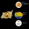 Waving National Flag Style Venezuela Fashion Flag Pin Brooch With Butterfly Clip, Safety Pins Flag Badge Brooch