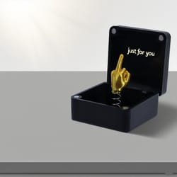 funny creative office desk decoration, unique humor decor, middle finger in a box prank gift item for home or work