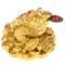 Lucky Feng Shui Toad, Golden Frog Coin Ornament, Wealth Fortune Tabletop Car Gifts