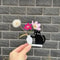 Fridge Magnet Black Cat Pushing Vase, Cat Whisker Memorial Box, Home Office Decor for Gift