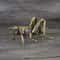 Solid Brass Cricket Figurines, Tricky Spoof Insect Toy, Retro Animal Statue, Miniature Craft Decorations