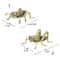 Solid Brass Cricket Figurines, Tricky Spoof Insect Toy, Retro Animal Statue, Miniature Craft Decorations