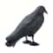 Realistic Crow Scarer Bird Decor, Lifelike Plastic Pigeon & Crow for Garden & Yard Protection