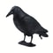 Realistic Crow Scarer Bird Decor, Lifelike Plastic Pigeon & Crow for Garden & Yard Protection