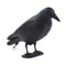 Realistic Crow Scarer Bird Decor, Lifelike Plastic Pigeon & Crow for Garden & Yard Protection