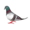 Cute Christmas Decorations, Simulation Foam Pigeon Art Crafts, Handmade Miniatures Bird Figurines