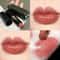 Long-lasting Red Brown Lipstick, Moisturizing Mirror Lipstick, Waterproof Lip Gloss for Valentine's Day Gift