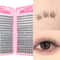 Reusable Cluster False Eyelashes, C-Curl, Sunflower Style for Beginners