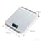 PrecisionChef Digital Kitchen Scale with LED Display & Stainless Steel Platform