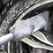 Microfiber Wheel Rim Cleaning Brush For Car Detailing And Tire Care 0