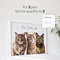Custom Pet Portrait Pet Portrait From Photo Dog Portrait Custom Dog Portrait Cat Portrait Cat Mom G 4