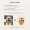 Custom Pet Portrait Pet Portrait From Photo Dog Portrait Custom Dog Portrait Cat Portrait Cat Mom G 2