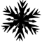 Snowflake (19).png