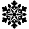Snowflake (28).png