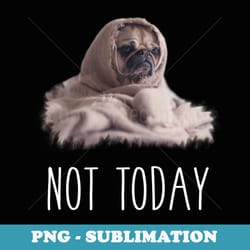 not today cute pug long-sleeve funny puppy blanket dog - png sublimation digital download