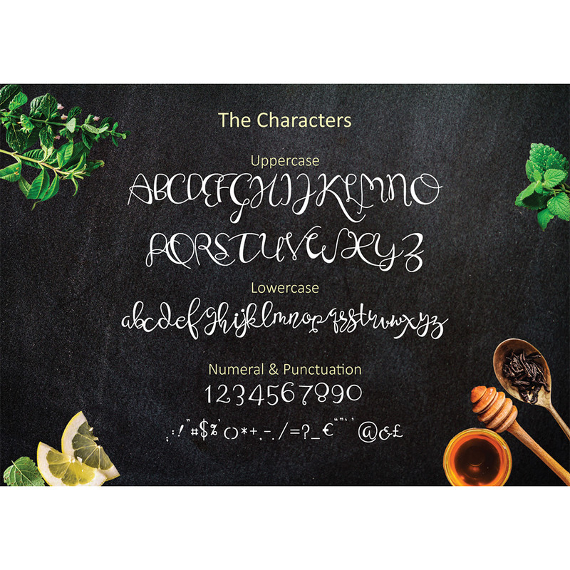 Honey Spice Script Font 4