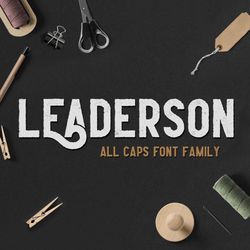 leaderson family font