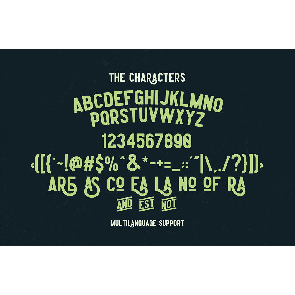 Leaderson Family Font 3